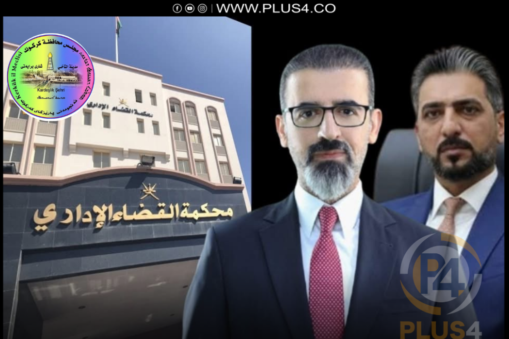 القضاء الاداري