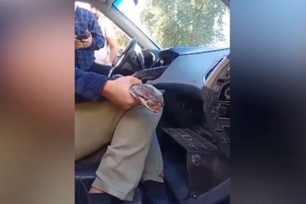 مارةكة