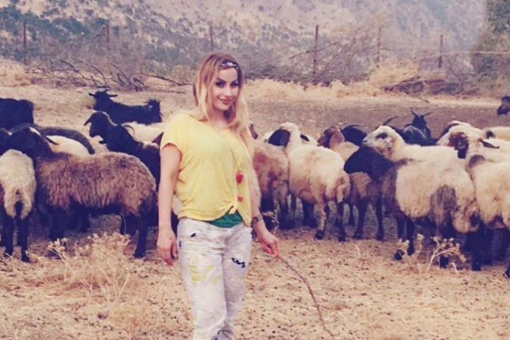 مەڕوماڵات
