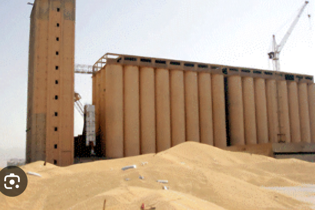 سایلۆی گەنم