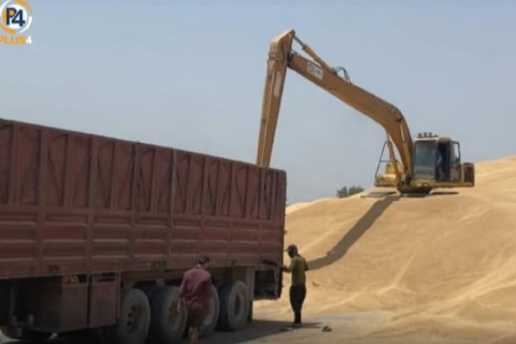 بەرهەمی جوتیاران