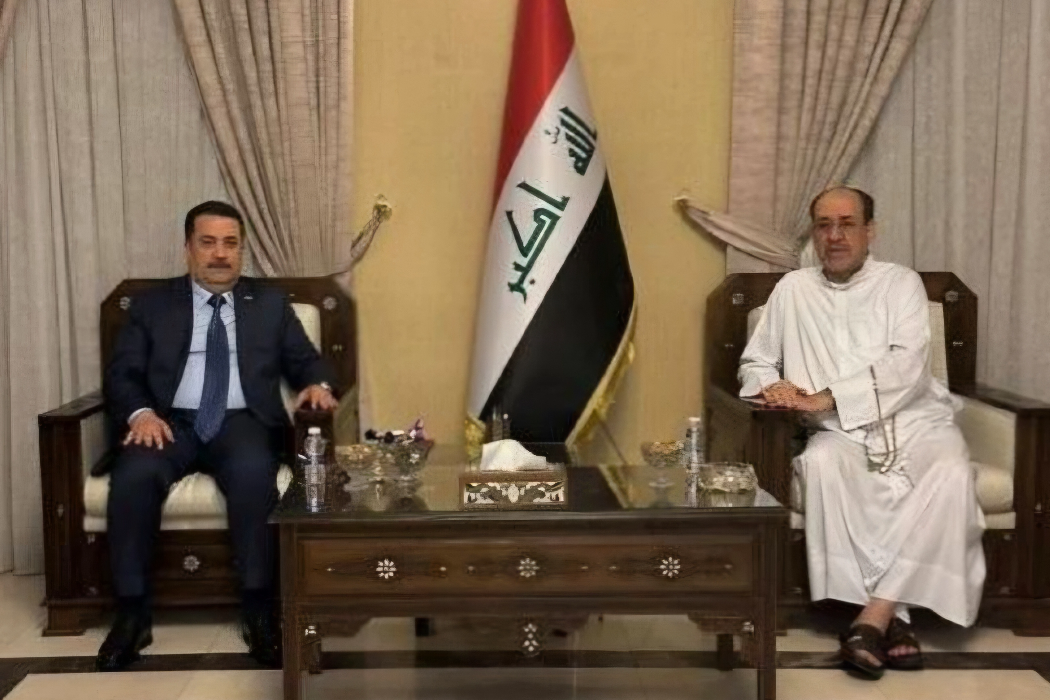 سەردانی