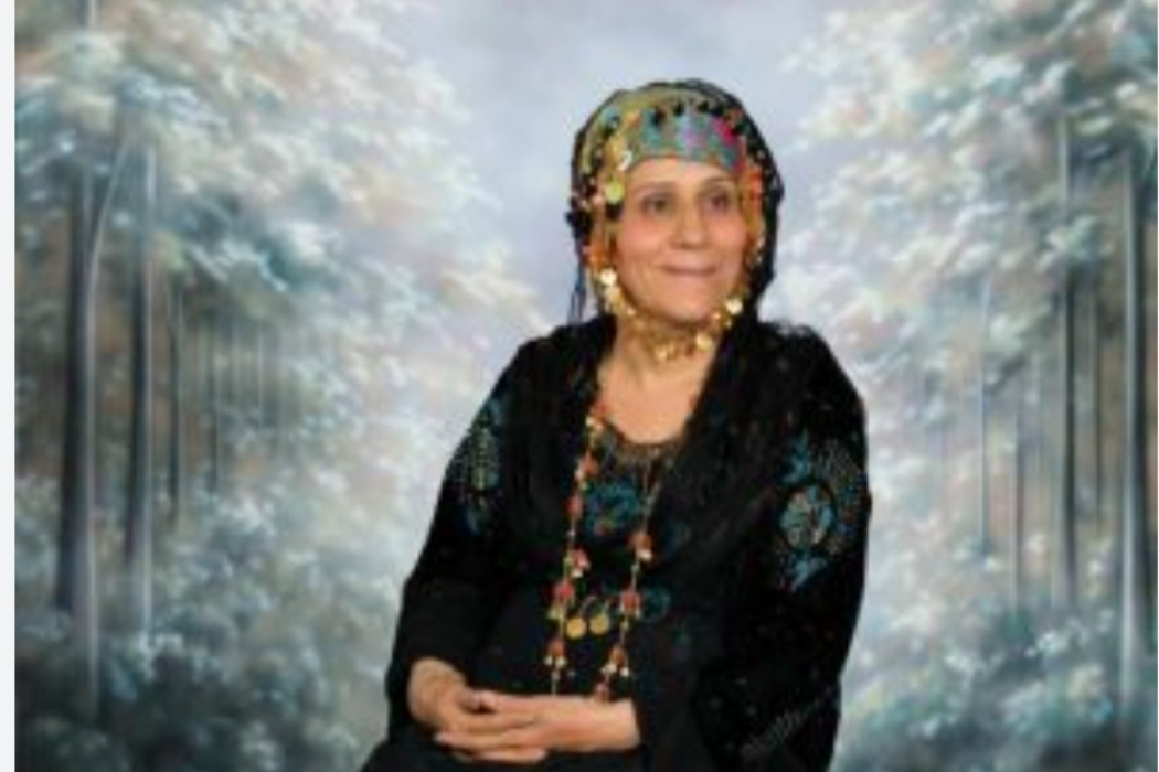 نەرمین قادر