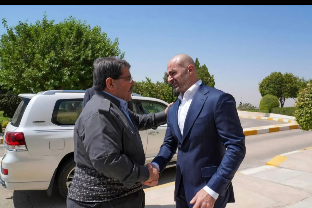 سەردانی